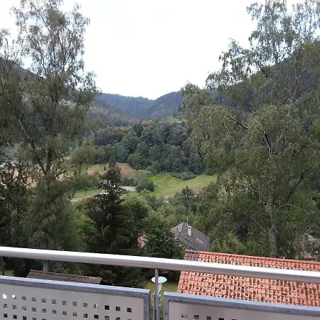 Apartment Stuermlesloch Bad Wildbad