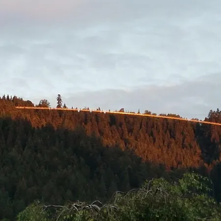 Apartamento Stürmlesloch