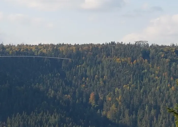 Stuermlesloch Апартаменты Бад-Вильдбад